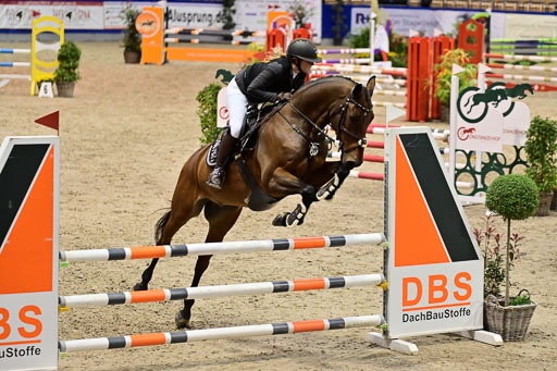 SH Holstein International  21-24.10.2021 Neumünster | Pfg 1 Bronze Tour _274 