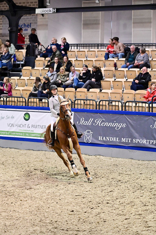 SH Holstein International  21-24.10.2021 Neumünster | Pfg 1 Bronze Tour _275 