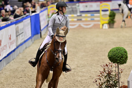 SH Holstein International  21-24.10.2021 Neumünster | Pfg 1 Bronze Tour _279 