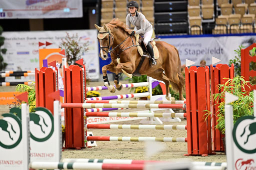 SH Holstein International  21-24.10.2021 Neumünster | Pfg 1 Bronze Tour _286 