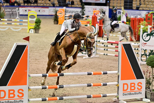 SH Holstein International  21-24.10.2021 Neumünster | Pfg 1 Bronze Tour _288 