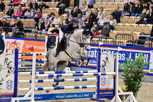 SH Holstein International  21-24.10.2021 Neumünster | Pfg 1 Bronze Tour _295 