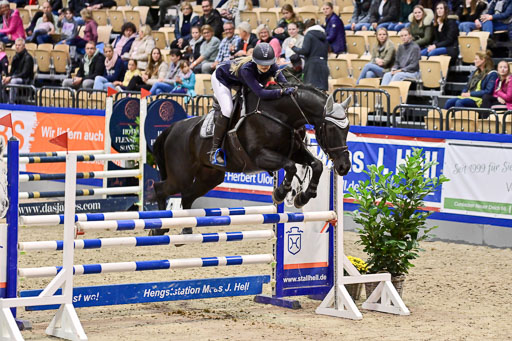 SH Holstein International  21-24.10.2021 Neumünster | Pfg 1 Bronze Tour _318 