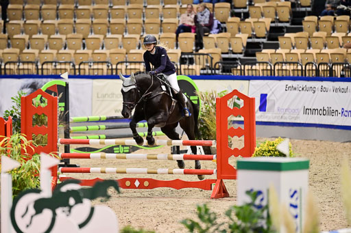 SH Holstein International  21-24.10.2021 Neumünster | Pfg 1 Bronze Tour _319 