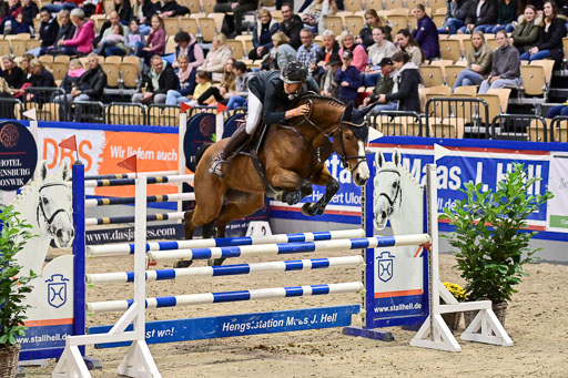 SH Holstein International  21-24.10.2021 Neumünster | Pfg 1 Bronze Tour _325 