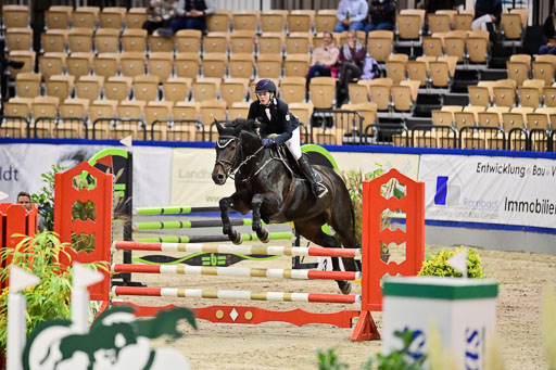 SH Holstein International  21-24.10.2021 Neumünster | Pfg 1 Bronze Tour _345 