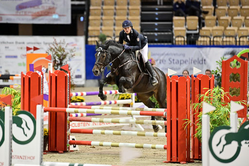 SH Holstein International  21-24.10.2021 Neumünster | Pfg 1 Bronze Tour _346 