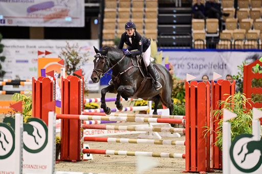 SH Holstein International  21-24.10.2021 Neumünster | Pfg 1 Bronze Tour _347 