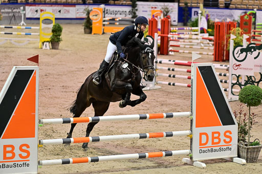 SH Holstein International  21-24.10.2021 Neumünster | Pfg 1 Bronze Tour _348 