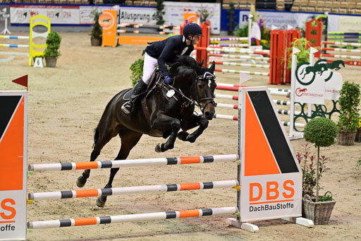 SH Holstein International  21-24.10.2021 Neumünster | Pfg 1 Bronze Tour _349 