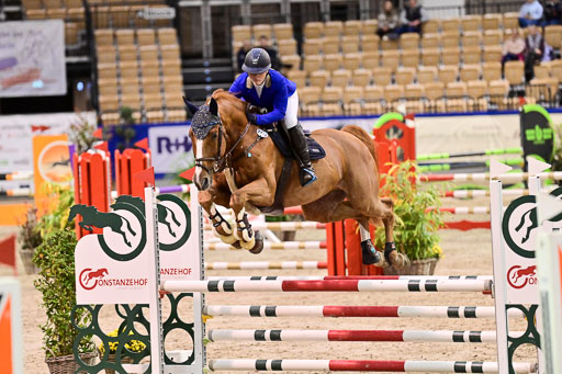 SH Holstein International  21-24.10.2021 Neumünster | Pfg 1 Bronze Tour _365 