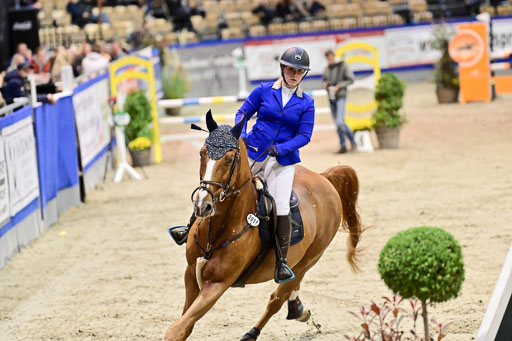 SH Holstein International  21-24.10.2021 Neumünster | Pfg 1 Bronze Tour _367 