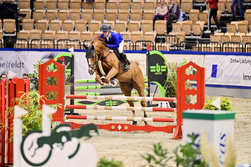 SH Holstein International  21-24.10.2021 Neumünster | Pfg 1 Bronze Tour _372 