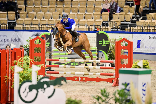 SH Holstein International  21-24.10.2021 Neumünster | Pfg 1 Bronze Tour _373 