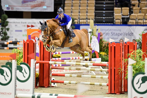 SH Holstein International  21-24.10.2021 Neumünster | Pfg 1 Bronze Tour _375 