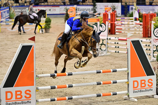 SH Holstein International  21-24.10.2021 Neumünster | Pfg 1 Bronze Tour _377 