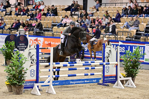 SH Holstein International  21-24.10.2021 Neumünster | Pfg 1 Bronze Tour _382 