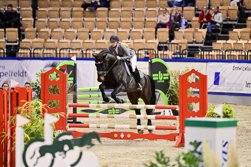 SH Holstein International  21-24.10.2021 Neumünster | Pfg 1 Bronze Tour _385 