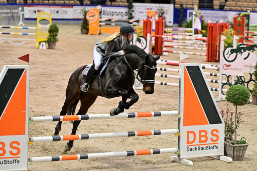 SH Holstein International  21-24.10.2021 Neumünster | Pfg 1 Bronze Tour _389 