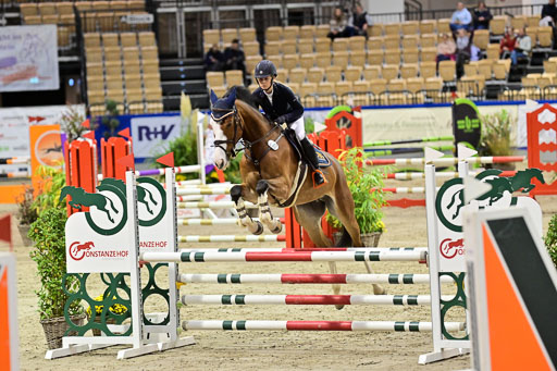 SH Holstein International  21-24.10.2021 Neumünster | Pfg 1 Bronze Tour _390 