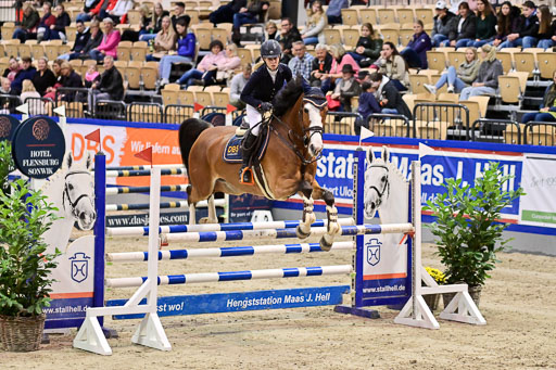 SH Holstein International  21-24.10.2021 Neumünster | Pfg 1 Bronze Tour _396 