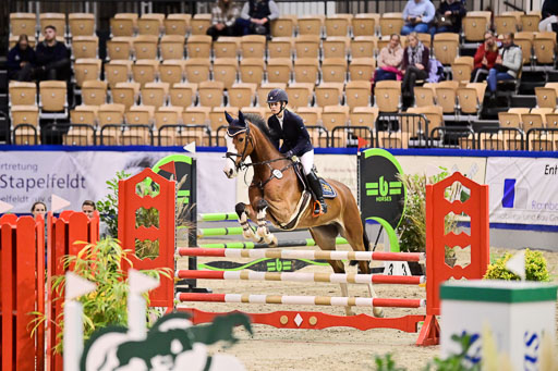 SH Holstein International  21-24.10.2021 Neumünster | Pfg 1 Bronze Tour _398 