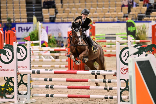 SH Holstein International  21-24.10.2021 Neumünster | Pfg 1 Bronze Tour _416 