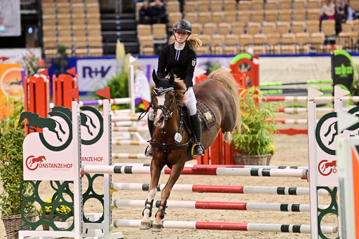 SH Holstein International  21-24.10.2021 Neumünster | Pfg 1 Bronze Tour _417 