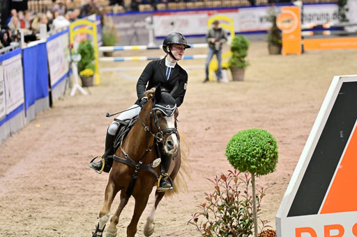 SH Holstein International  21-24.10.2021 Neumünster | Pfg 1 Bronze Tour _418 