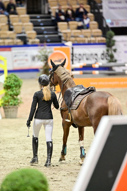 SH Holstein International  21-24.10.2021 Neumünster | Pfg 1 Bronze Tour _420 