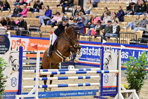 SH Holstein International  21-24.10.2021 Neumünster | Pfg 1 Bronze Tour _431 