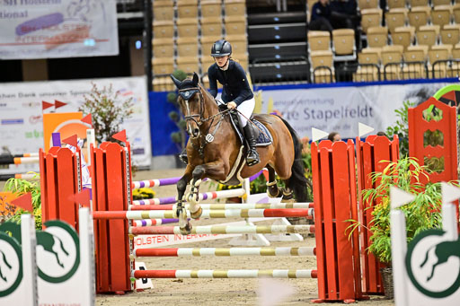 SH Holstein International  21-24.10.2021 Neumünster | Pfg 1 Bronze Tour _435 