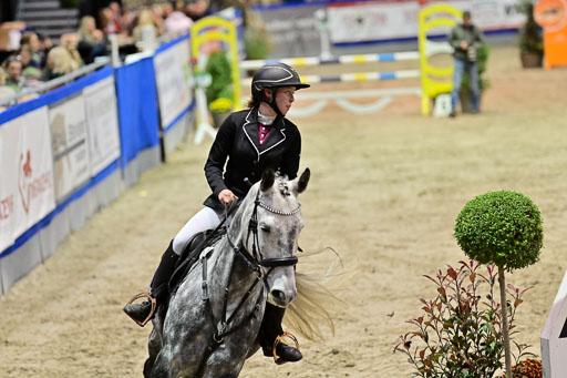 SH Holstein International  21-24.10.2021 Neumünster | Pfg 1 Bronze Tour _438 