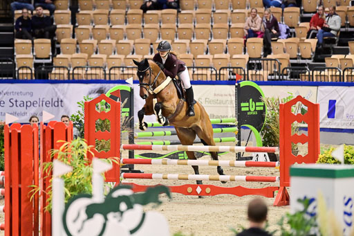 SH Holstein International  21-24.10.2021 Neumünster | Pfg 1 Bronze Tour _448 