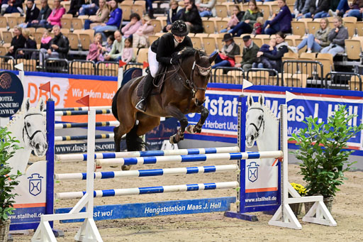 SH Holstein International  21-24.10.2021 Neumünster | Pfg 1 Bronze Tour _474 