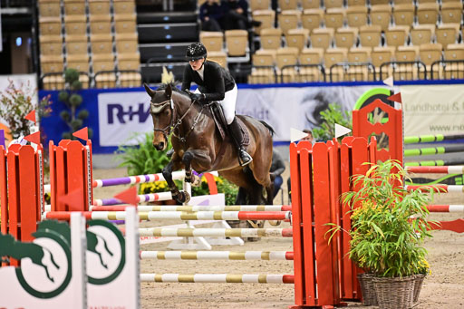 SH Holstein International  21-24.10.2021 Neumünster | Pfg 1 Bronze Tour _477 