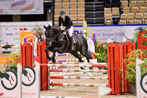 SH Holstein International  21-24.10.2021 Neumünster | Pfg 1 Bronze Tour _486 