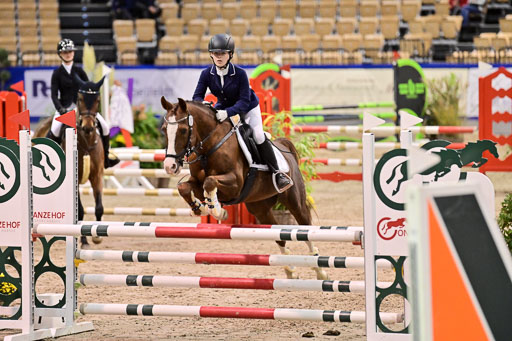 SH Holstein International  21-24.10.2021 Neumünster | Pfg 1 Bronze Tour _488 