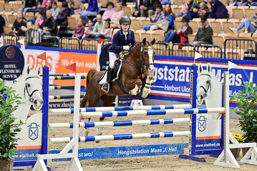 SH Holstein International  21-24.10.2021 Neumünster | Pfg 1 Bronze Tour _491 