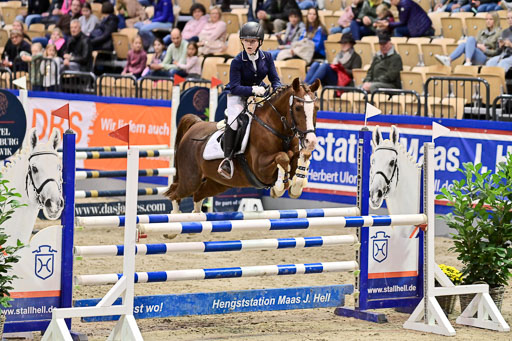 SH Holstein International  21-24.10.2021 Neumünster | Pfg 1 Bronze Tour _492 