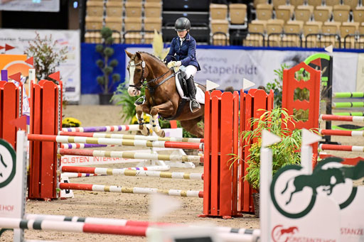 SH Holstein International  21-24.10.2021 Neumünster | Pfg 1 Bronze Tour _495 