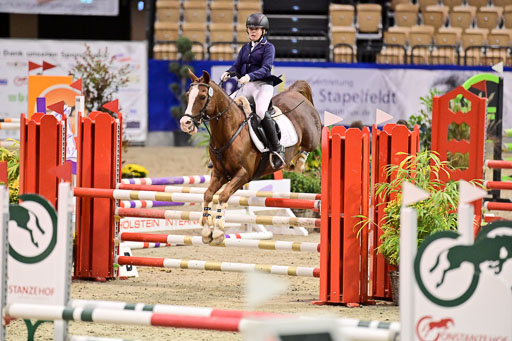 SH Holstein International  21-24.10.2021 Neumünster | Pfg 1 Bronze Tour _496 