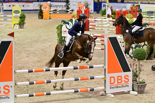 SH Holstein International  21-24.10.2021 Neumünster | Pfg 1 Bronze Tour _497 