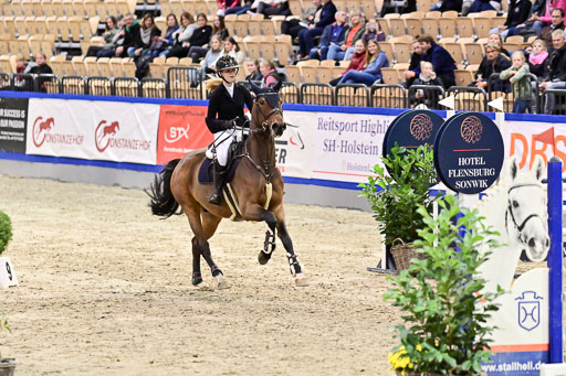 SH Holstein International  21-24.10.2021 Neumünster | Pfg 1 Bronze Tour _499 