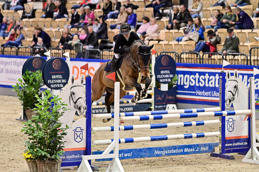 SH Holstein International  21-24.10.2021 Neumünster | Pfg 1 Bronze Tour _500 