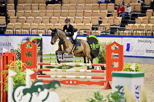 SH Holstein International  21-24.10.2021 Neumünster | Pfg 1 Bronze Tour _504 