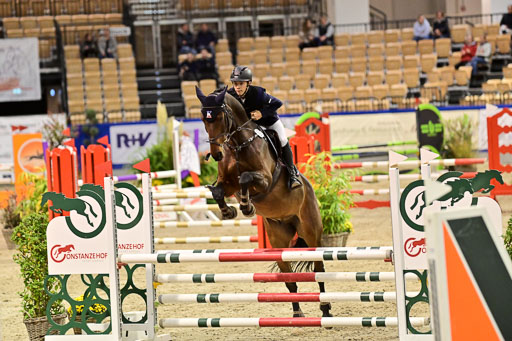 SH Holstein International  21-24.10.2021 Neumünster | Pfg 1 Bronze Tour _508 