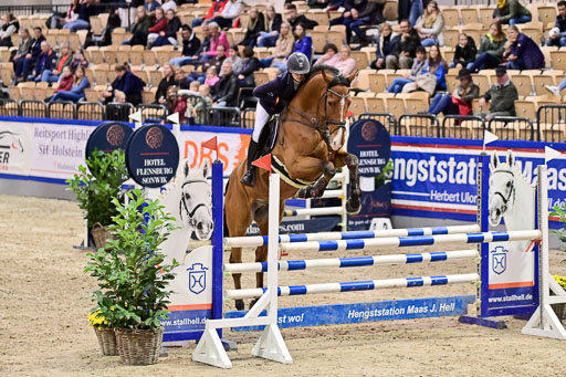 SH Holstein International  21-24.10.2021 Neumünster | Pfg 1 Bronze Tour _519 