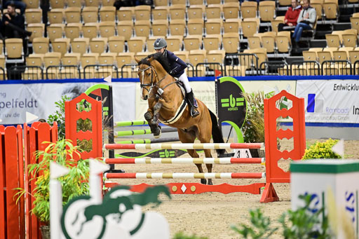 SH Holstein International  21-24.10.2021 Neumünster | Pfg 1 Bronze Tour _522 