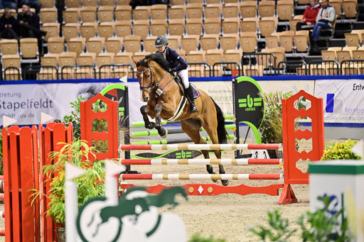 SH Holstein International  21-24.10.2021 Neumünster | Pfg 1 Bronze Tour _523 